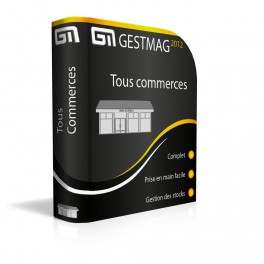 Gestmag version tous commerces Réseau 2 postes