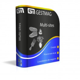 Gestmag version Réseau Multisites (Logiciel Auto-Certifié)